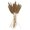 Dried Plant Bamboo Natural Foliage with Long Stems